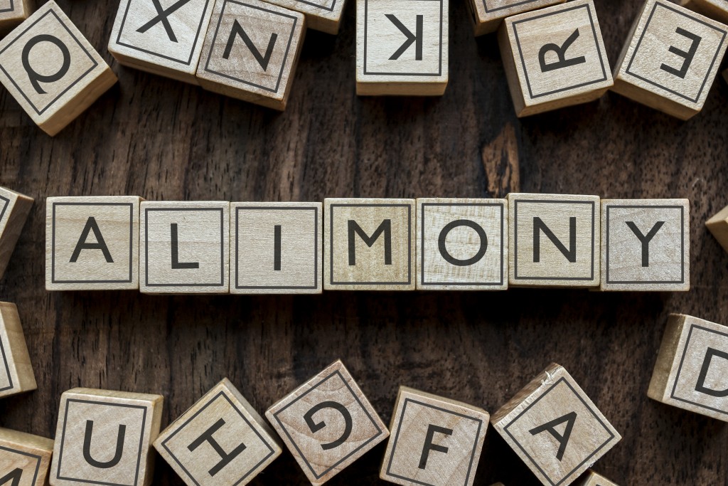 Alimony word on blocks