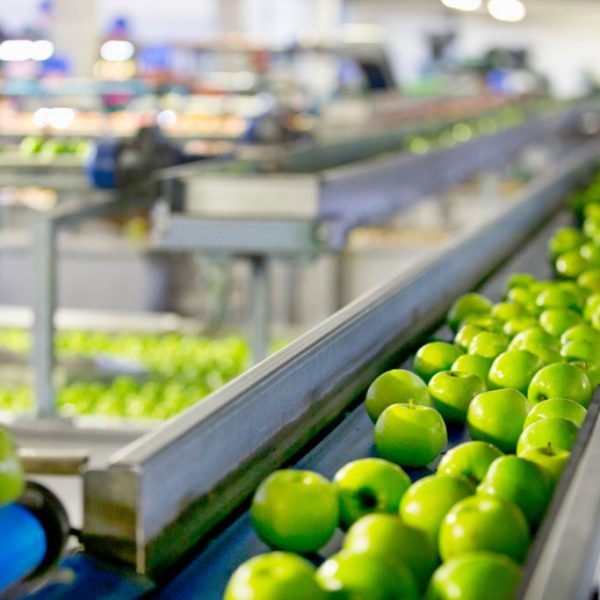 Enhancing Community Engagement When Starting a Food Processing Plant
