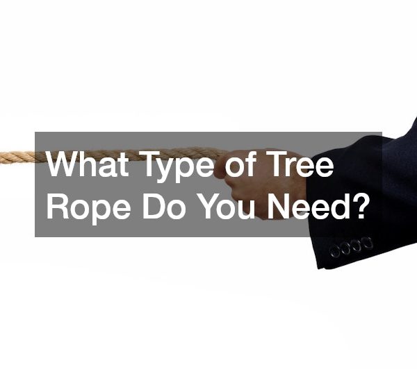 What Type of Tree Rope Do You Need?